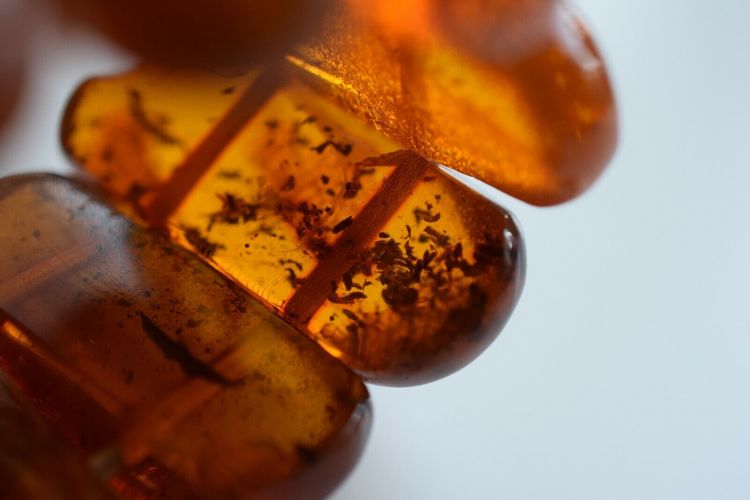 Natural Amber danish raw stone amber bracelet many inclusions insects large 85g #2375