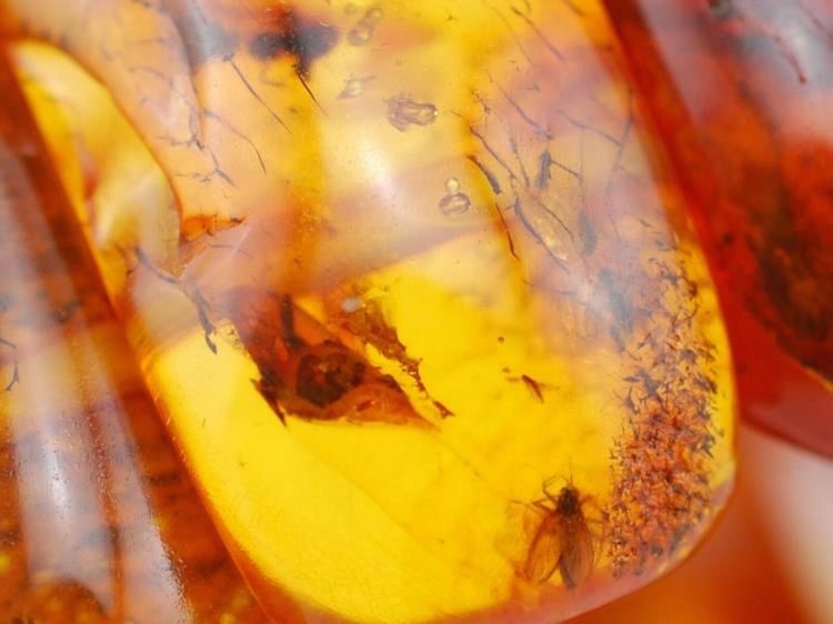 Natural Amber danish raw stone amber bracelet many inclusions insects large 85g #2375