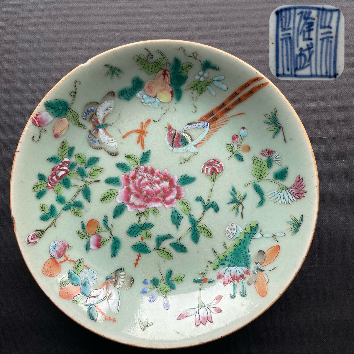 Antique Chinese celadon plate canton butterfly, 19th c, #1356