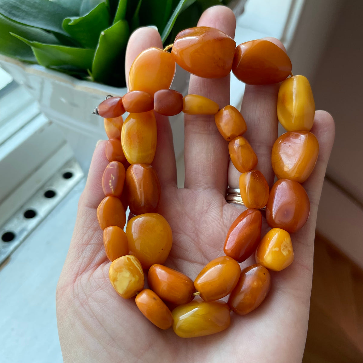 Antique Natural Amber Necklace Baltic Amber Egg Yolk Butterscotch 46g #1867