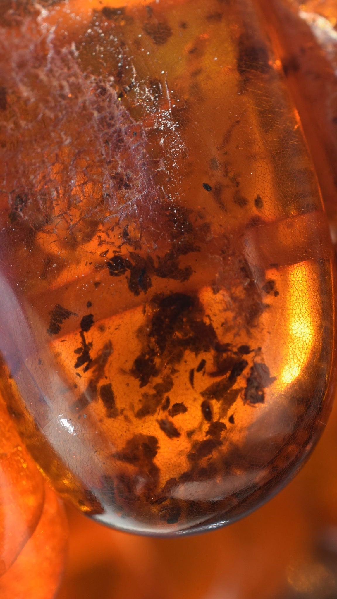 Natural Amber danish raw stone amber bracelet many inclusions insects large 85g #2375