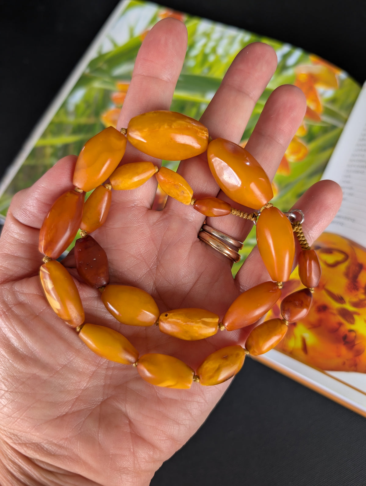 Natural Amber necklace antique from Denmark Baltic amber egg yolk 29g #2526
