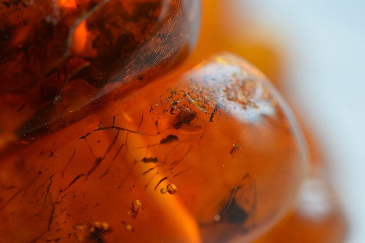 Natural Amber danish raw stone amber bracelet many inclusions insects large 85g #2375