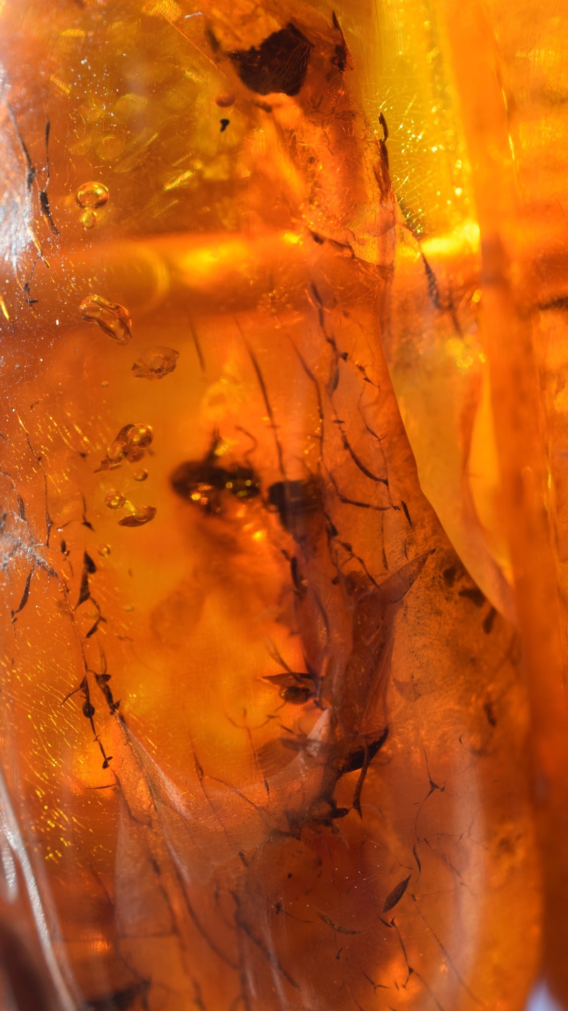 Natural Amber danish raw stone amber bracelet many inclusions insects large 85g #2375